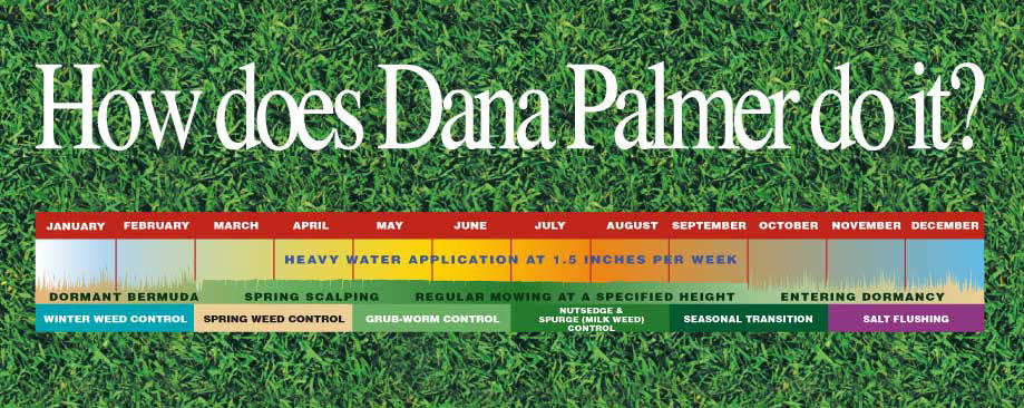 How Does Dana Palmer Do It?
